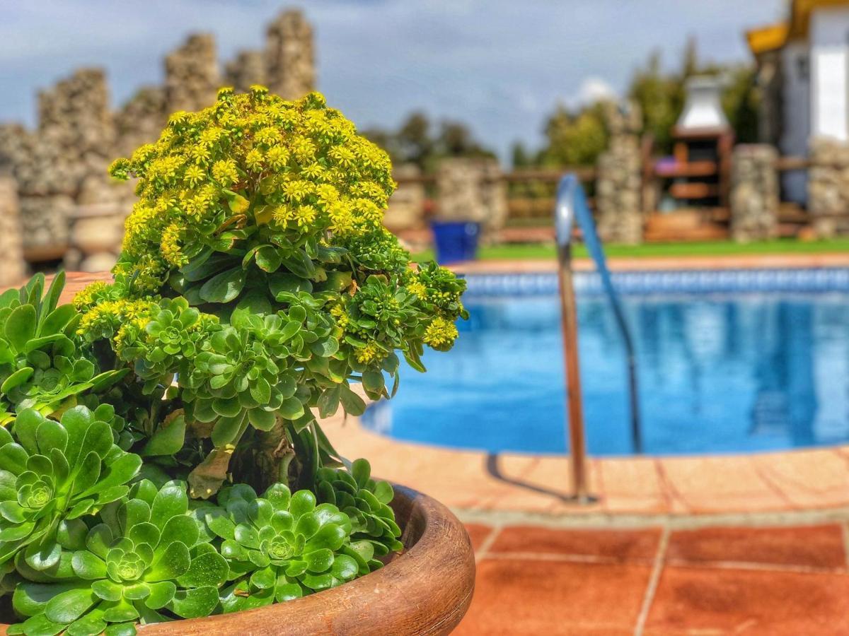 Jarandalus Villa เอลกัสตอร์ ภายนอก รูปภาพ